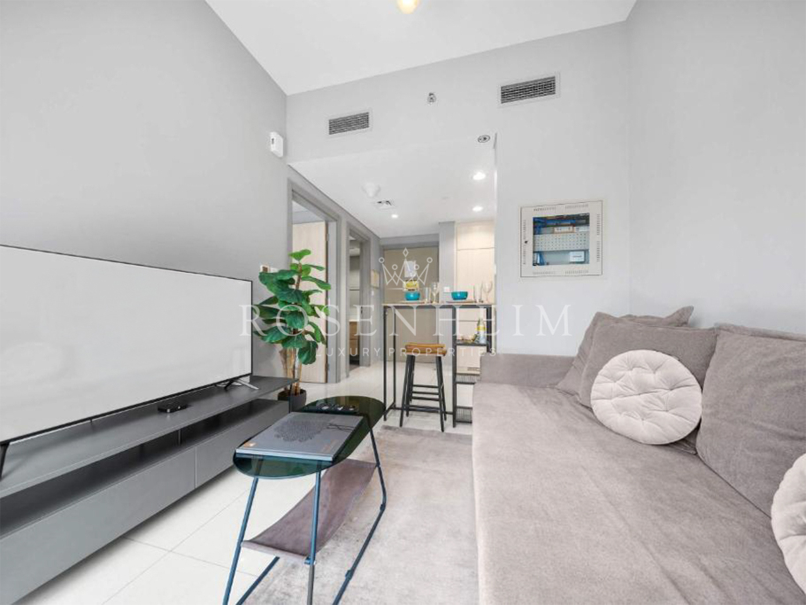 1 bedroom apartment to rent